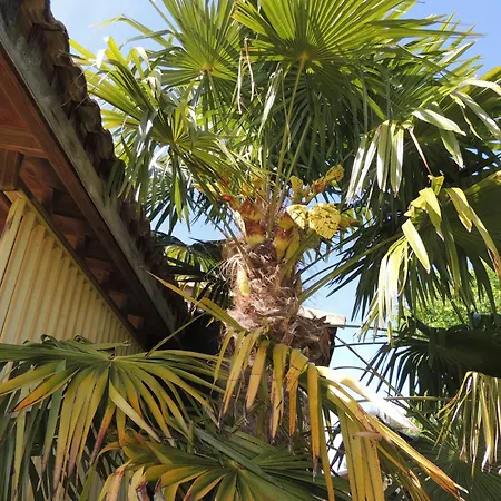 Le Normandie Domek alpejski *